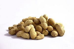 Peanuts, a common allergen