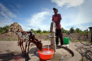Gathering water in Nnindye Parish, Uganda