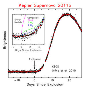 Light curve of one of the supernovae observed with the Kepler Space Telescope. Each black dot is a 30-minute exposure and the red triangles show 6-hour average brightness measurements. The inset zooms in on the time of explosion and indicates a range of possible companion signatures.