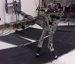 KURMET is a Locomotion and Biomechanics Lab robot that hops