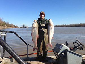 Two silver carp on the Mississippi River in Missouri. Photo by Sara Tripp/Missouri Department of Conservation. Courtesy of University of Michigan.