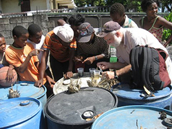 David Severson collects aegypti larvae from breeding sites in Haiti
