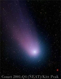 Christmas star comet