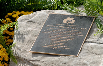 Declan Sullivan Memorial