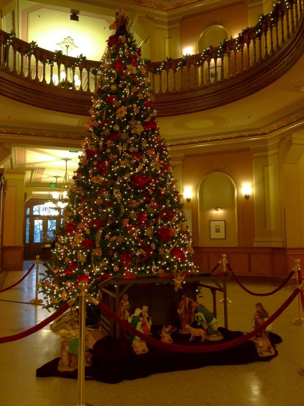 Main Building Christmas Tree