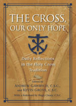 The_cross_book_cover_rel.jpg