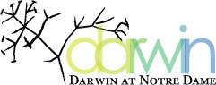 darwin_logo-release.jpg