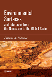 Patricia Maurice book cover