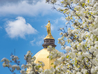 Golden Dome in the spring