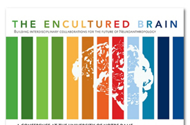 Encultured Brain