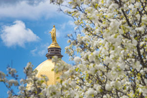 The Dome in the spring