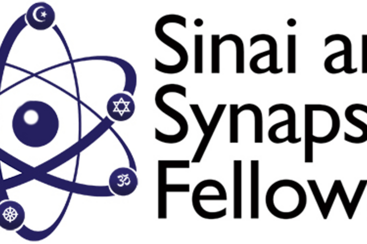 Sinai And Synapses Fellowship