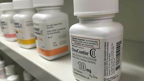 Newswise: Economists conclude opioid crisis responsible for millions of children living apart from parents
