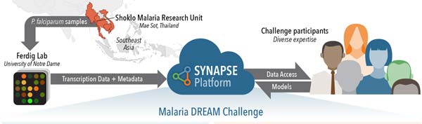 Malaria DREAM challenge