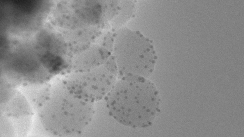 Nanoparticle P Nallathamby