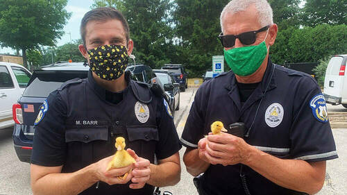 NDPD Officers and ducklings