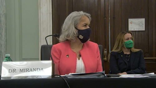 Marie Lynn Miranda, the Charles and Jill Fischer Provost at the University of Notre Dame, gives testimony at U.S. Senate.