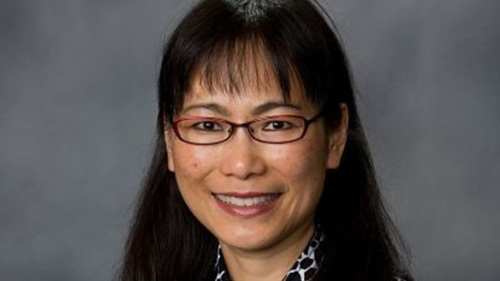 Victoria Tin-bor Hui