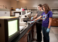 Notre Dame Laboratory Instrumentation Giving Hope To Students
