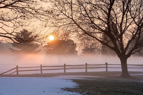 A serene sunrise illuminating a field, trees, and a fence, creating a picturesque landscape.