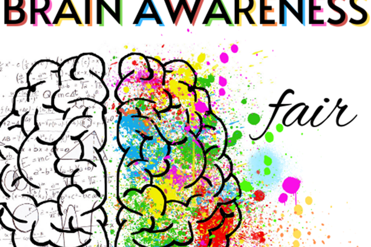 Brain Awareness Fair logo featuring an colorful illustration of a brain