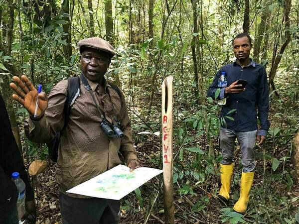 A forest inventory coordinator for USAID describes forest inventory methodology to visitors in Barconnie Community Forest in Grand Bassa County, Liberia, as the two stand amidst a green forested area.