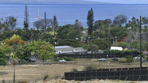 Blue ocean background with green trees and dark brown fences in the foreground.