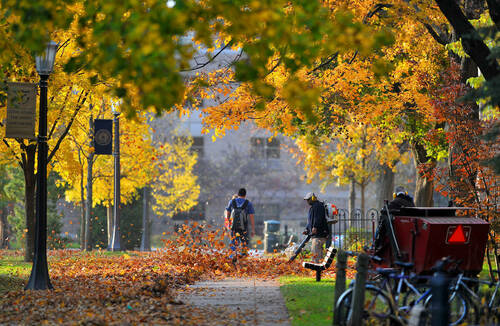 Employees blow colorful fall leaves on campus