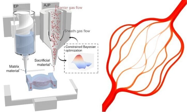 Schematic of 3D printing nozzles depositing materials to create a red branching vascular network, optimized with Bayesian methods.
