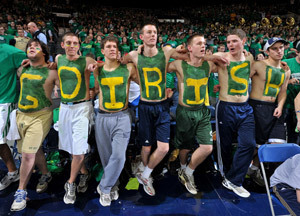 Men's basketball fans chear at a game